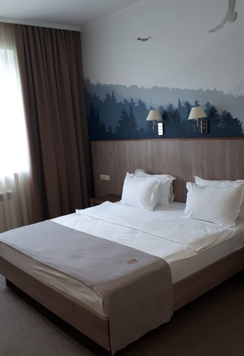 2-мест. джуниор сюит