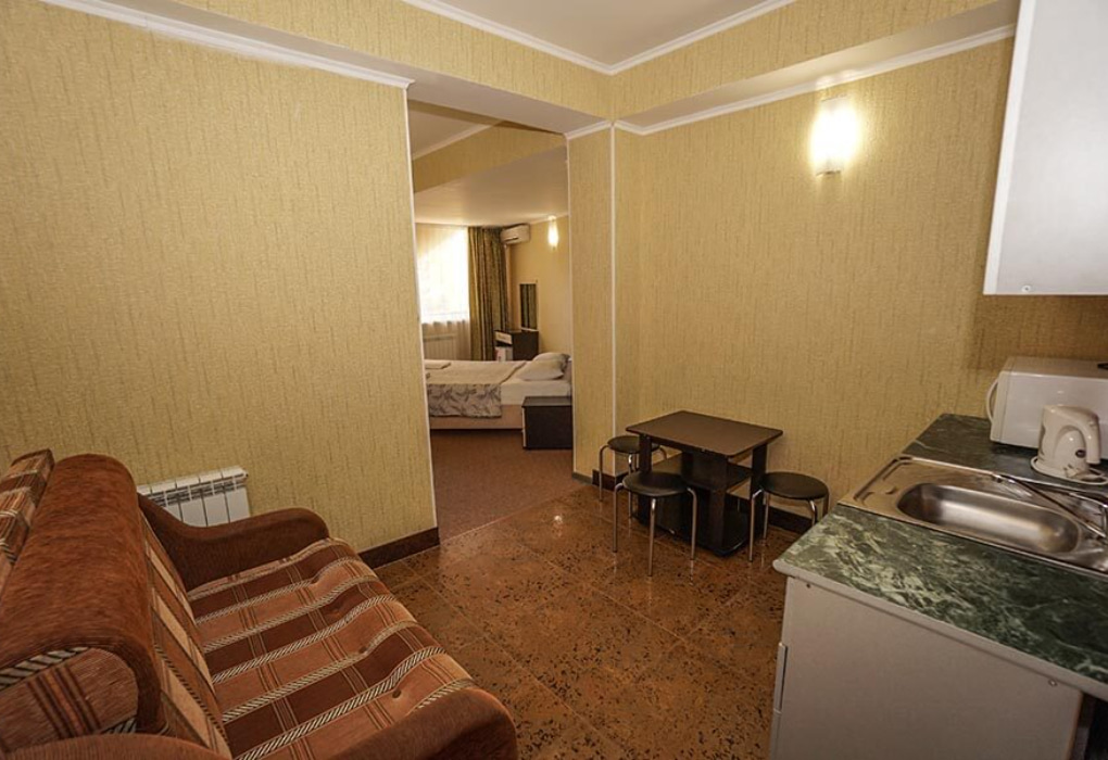 2-мест.(разм. в 3-мест.) студио семейный с балк.