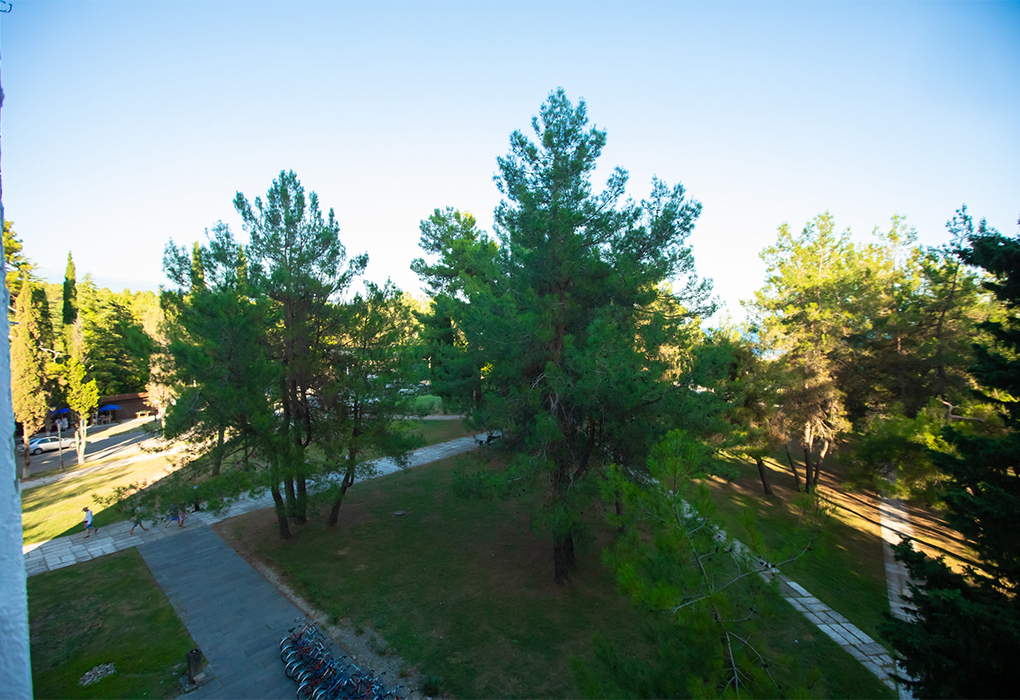 2-мест. 2-комн. люкс комфорт