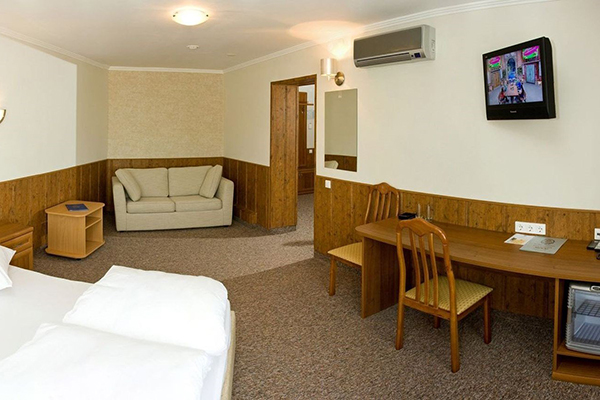 Полулюкс 2-местный