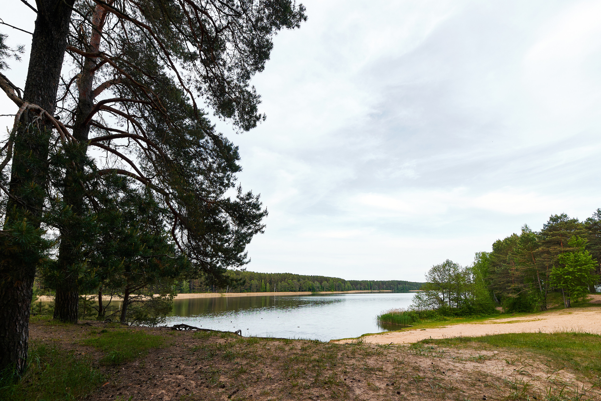 Санаторий «Поречье» Санаторий «Поречье»