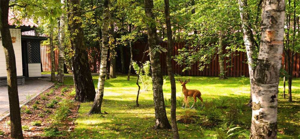 Отель «Джунгли» Подольск