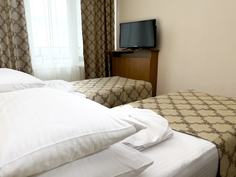 Стандартный 2-местный (вид на парк) корпус 1