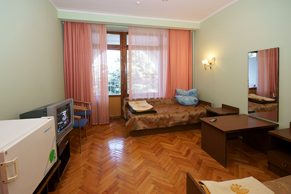 Стандартный 2-местный 1-комнатный ЮГ 4 этаж корпус 5