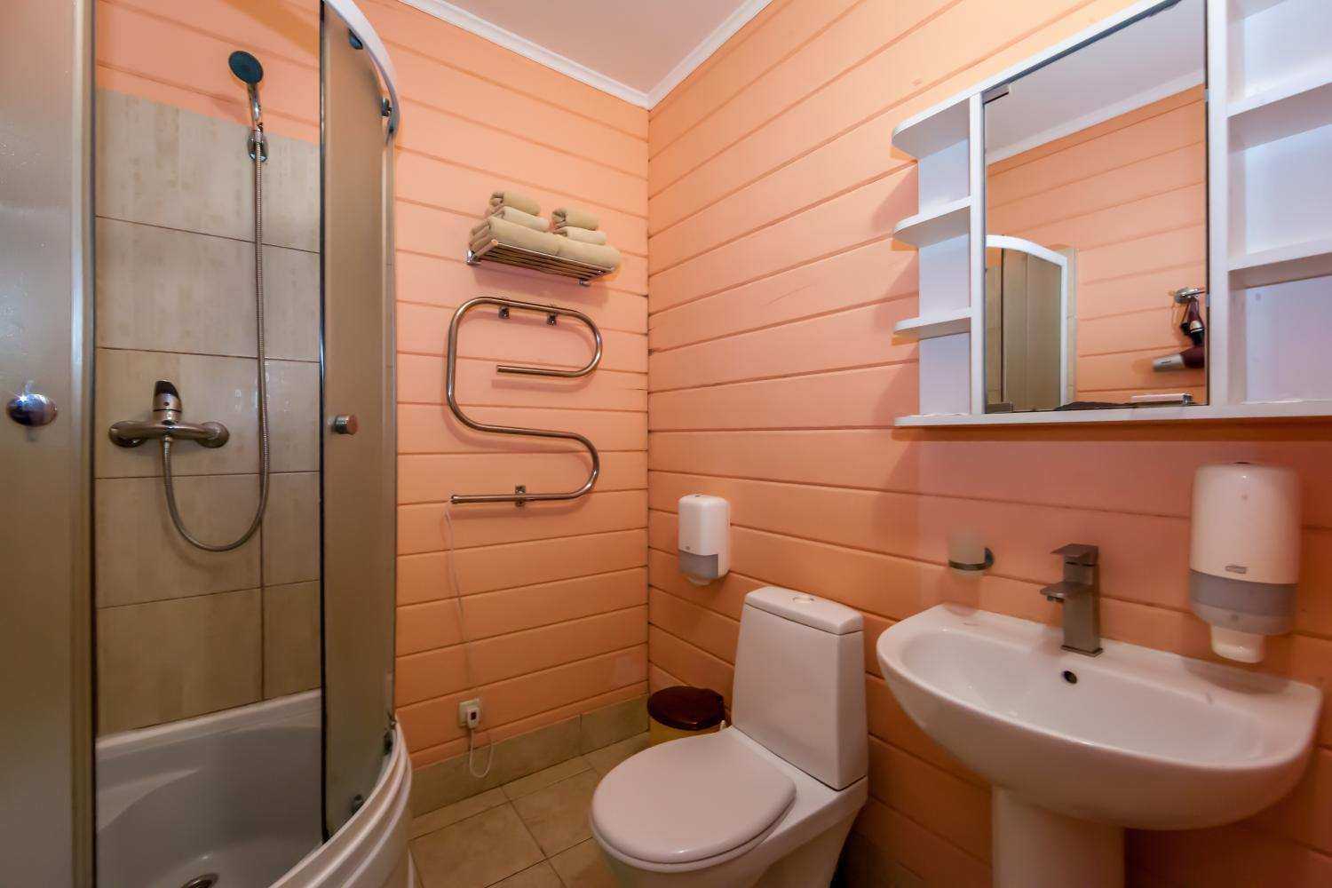 Стандарт эконом 2-местный