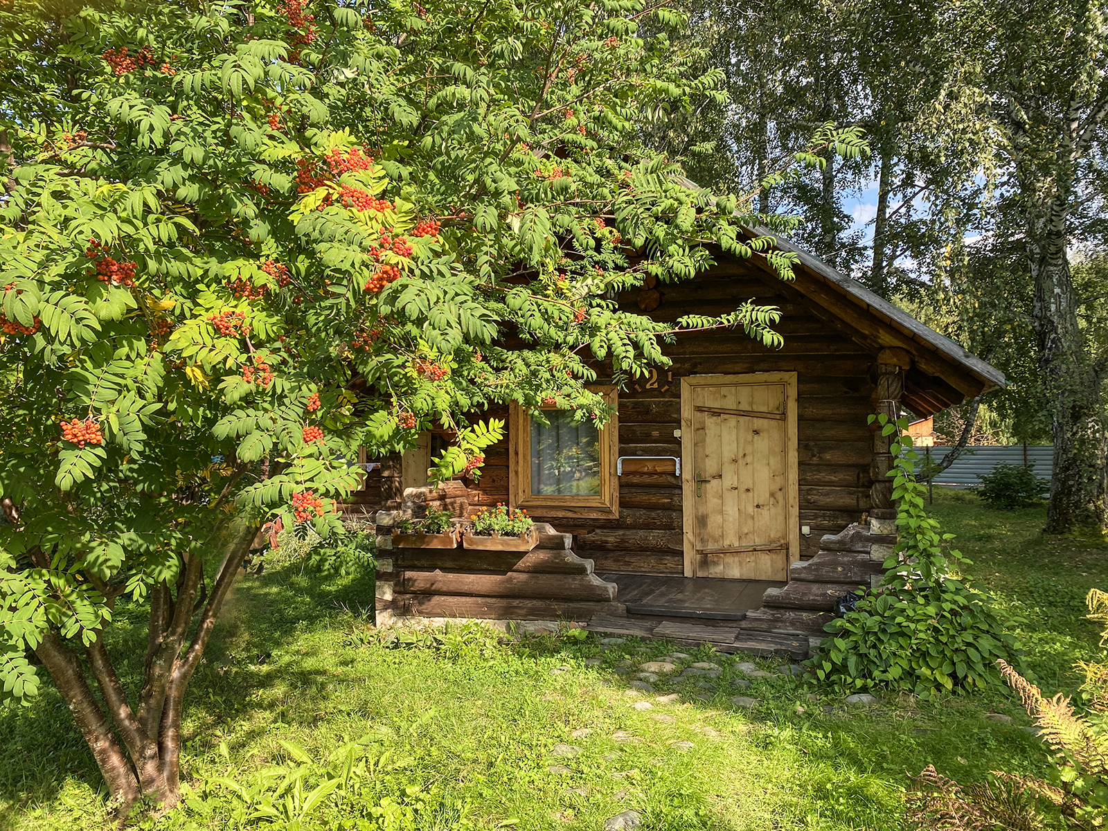 Дом Сосновый дом 2