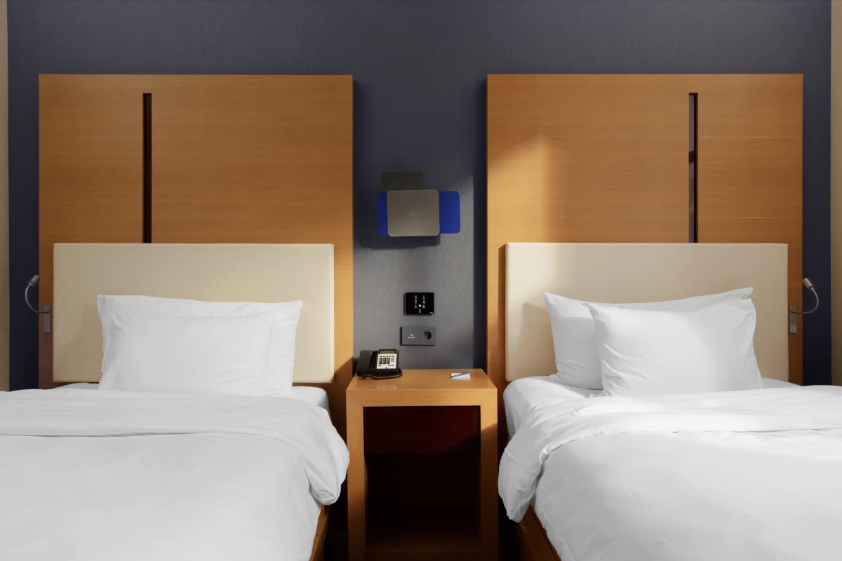 Супериор 2-местныйс с боковым видом на горы ТВИН