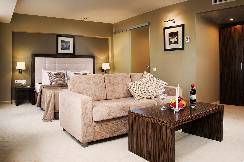 Люкс Студия 2-местный 1-комнатный