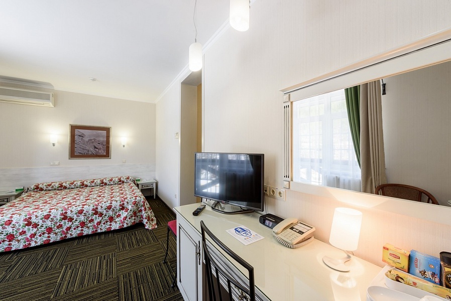 Стандартный 2-местный 1 категории 4* ЭХО