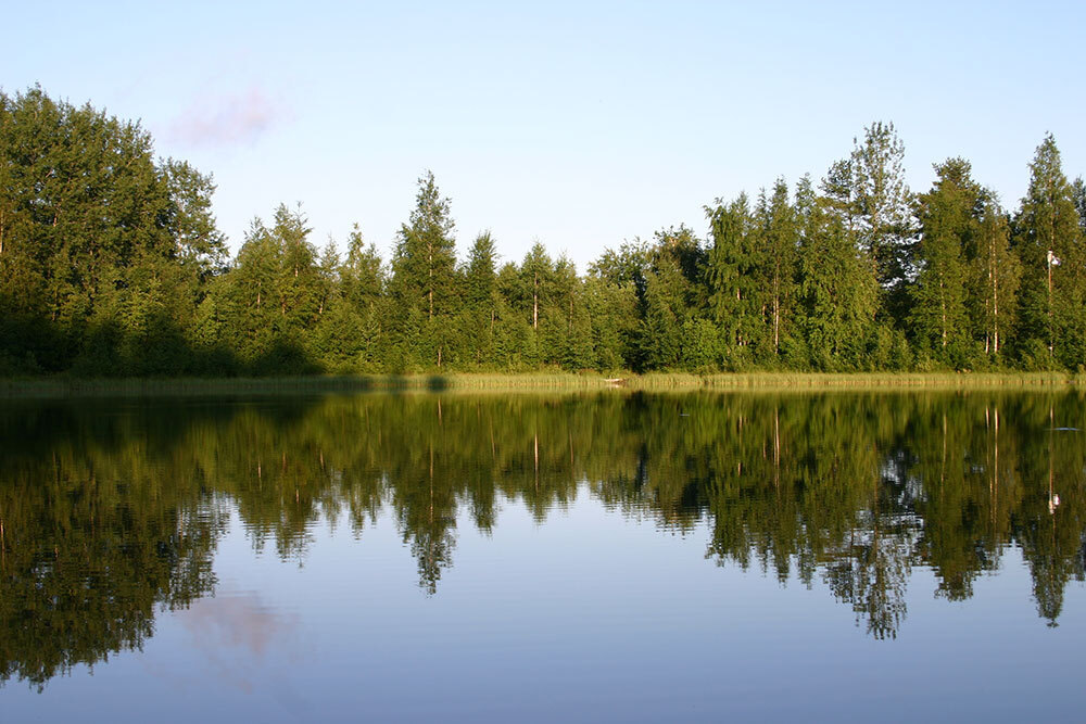Курорт «Снежный» Коробицыно