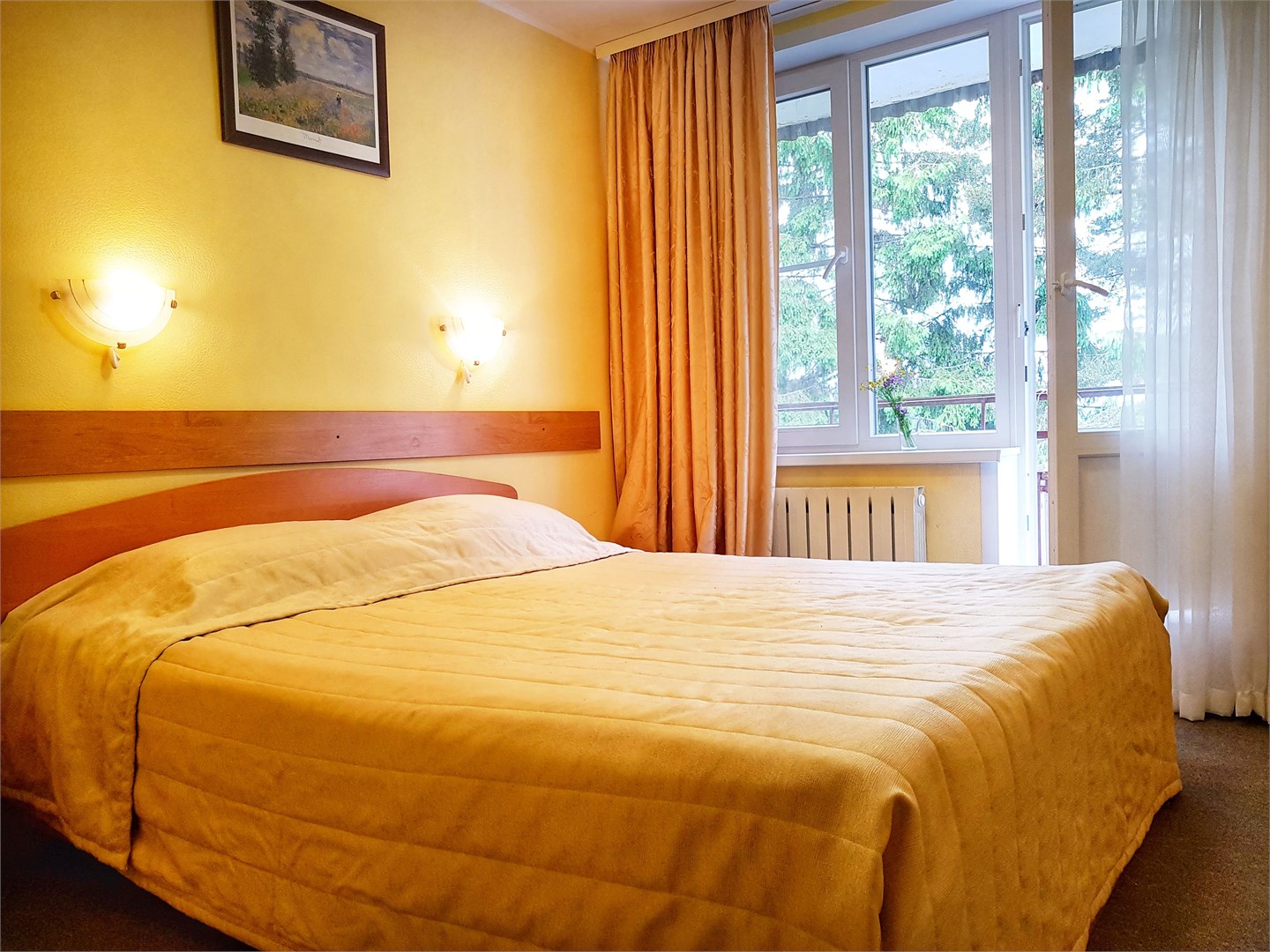 Стандарт 2-местный корпус №1 вид на Волгу