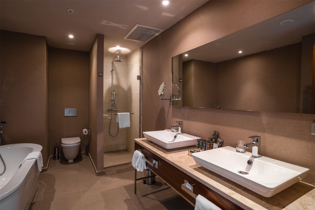 2-мест. люкс TWIN