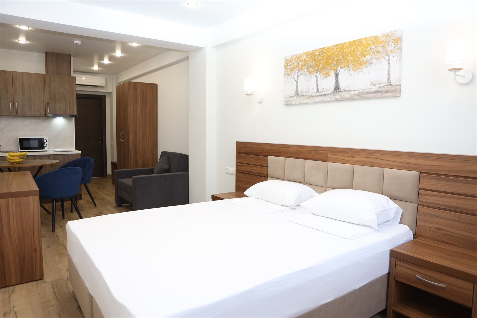 Студия Премиум 2-местный 1-комнатный с кухней без балкона