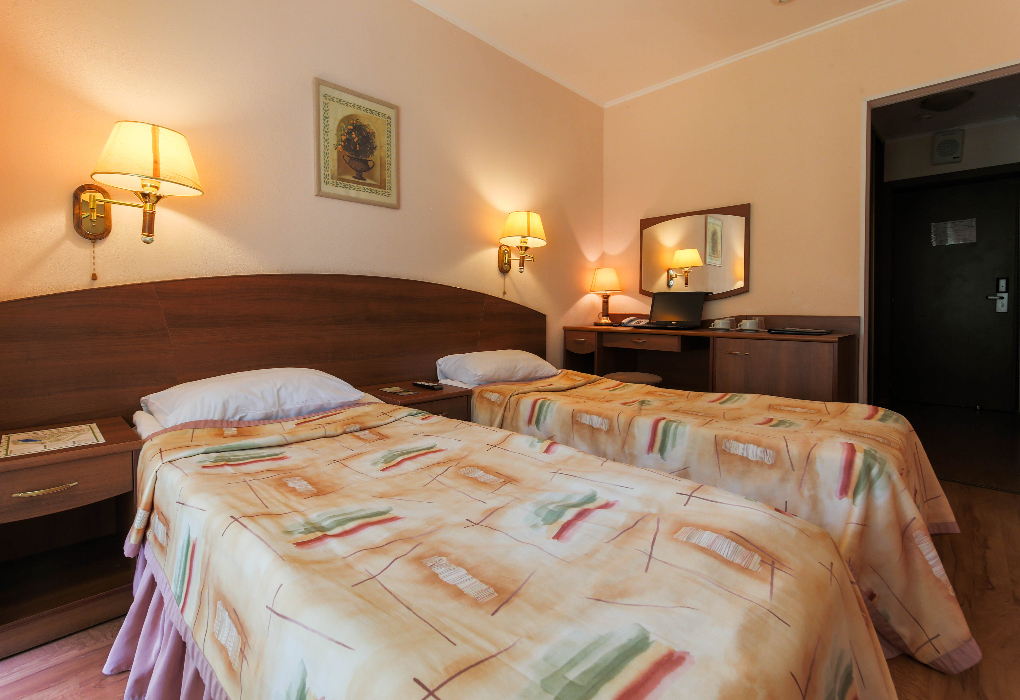 2-мест. станд. TWIN 