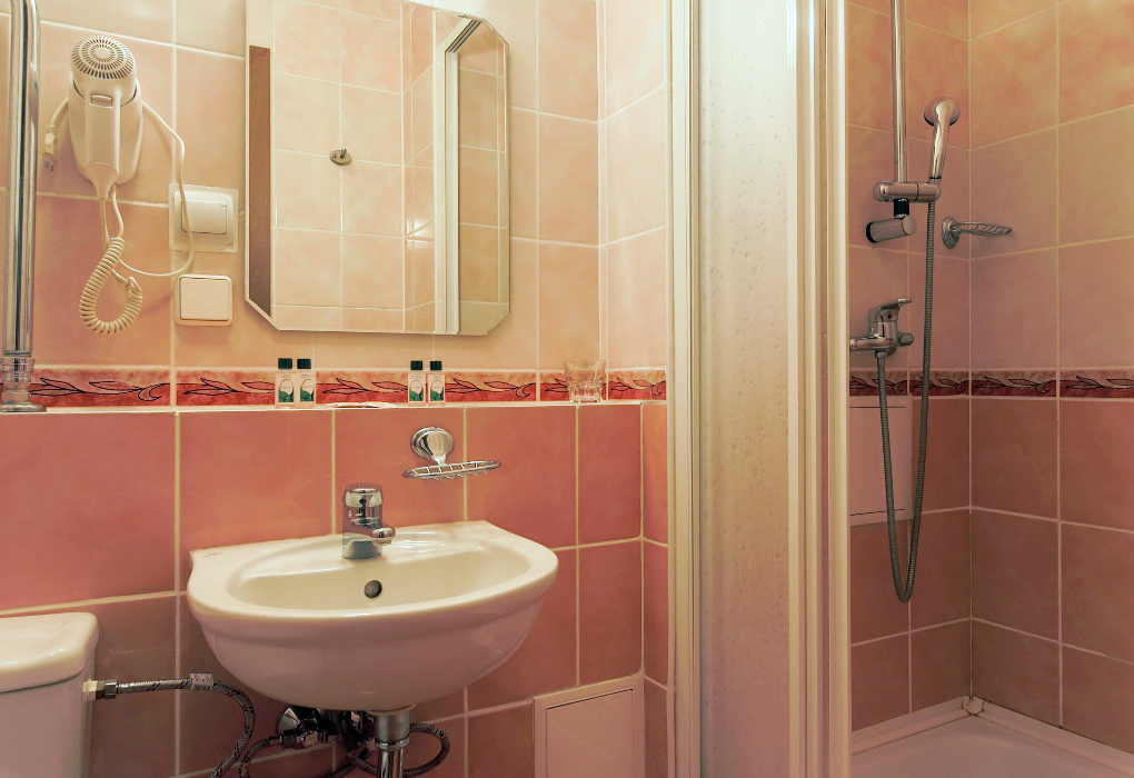 2-мест. станд. TWIN 