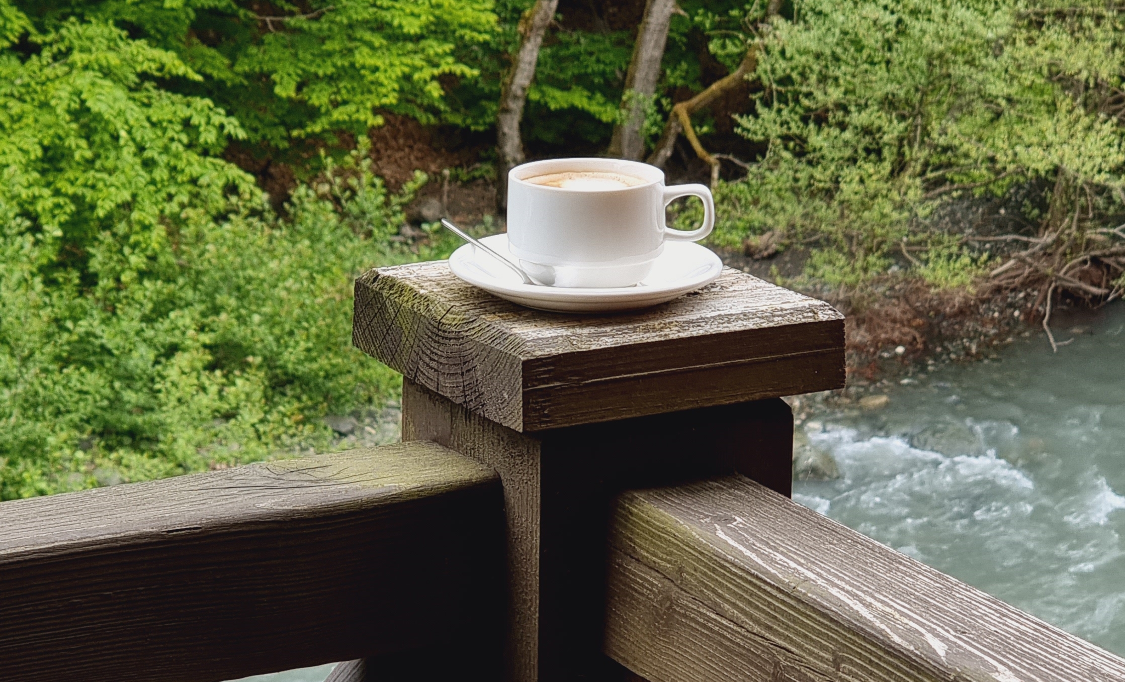 Супериор 2-местный вид на реку