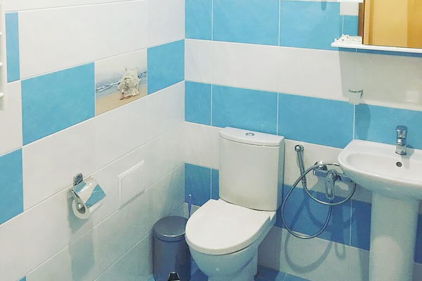 Тематический 2-местный, корпус Восточный