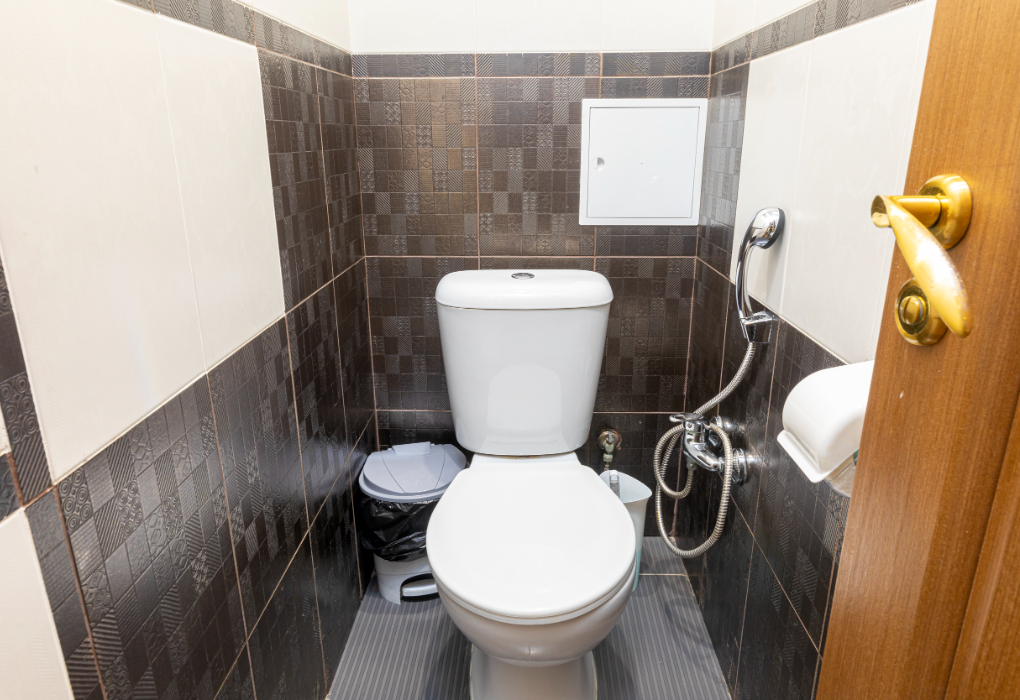 Стандарт СИНГЛ, корпус Сосновый/Главный