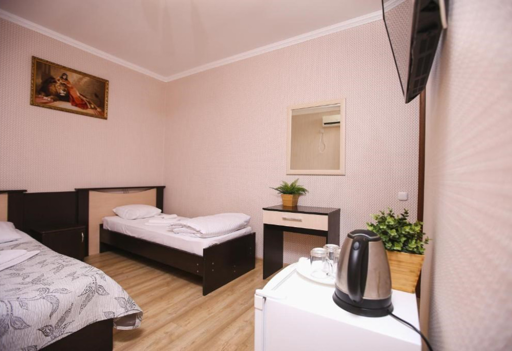 2-мест.(разм. в 3-мест.) станд. эконом