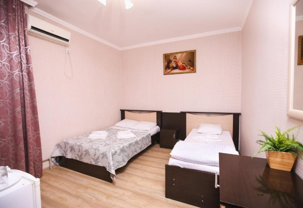 2-мест.(разм. в 3-мест.) станд. эконом