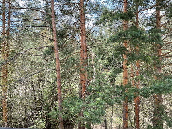 Апартаменты 2-мест2-комн.с кухней 3 корпус