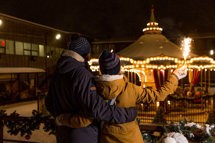 Студия 2-мест.1-к.TWIN парк-отель