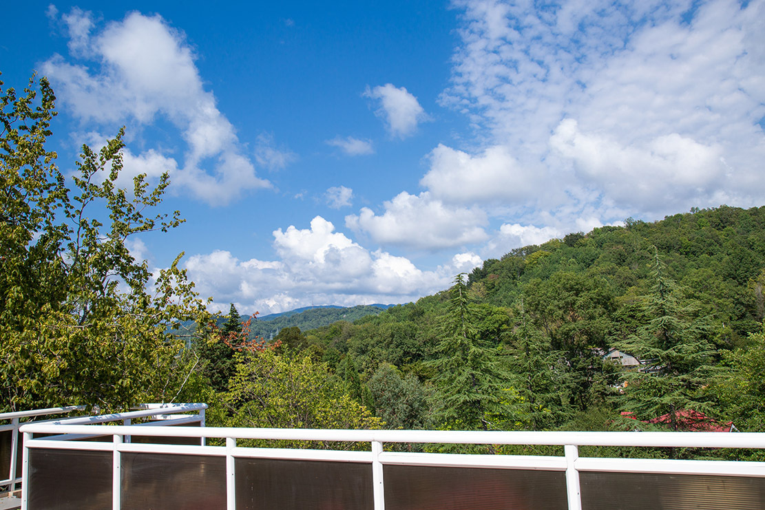 4-6 местные апартаменты в корпусе