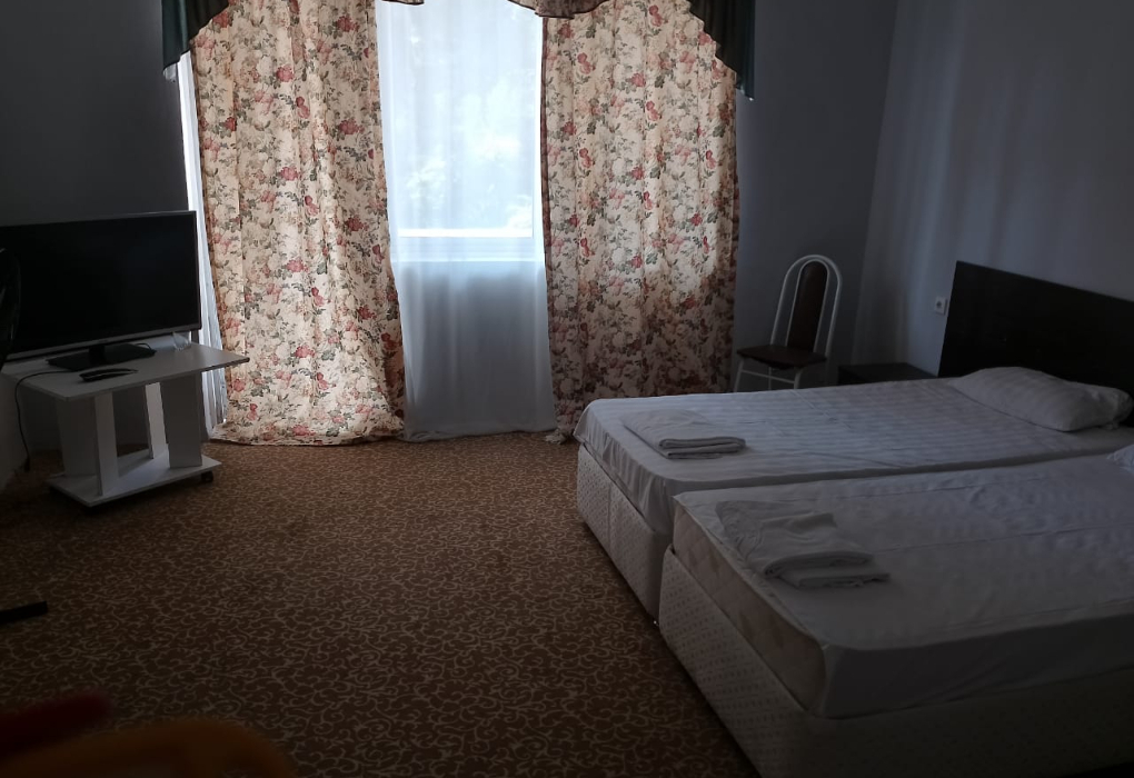 Посмотреть в галерее 2-мест. станд. без балк.