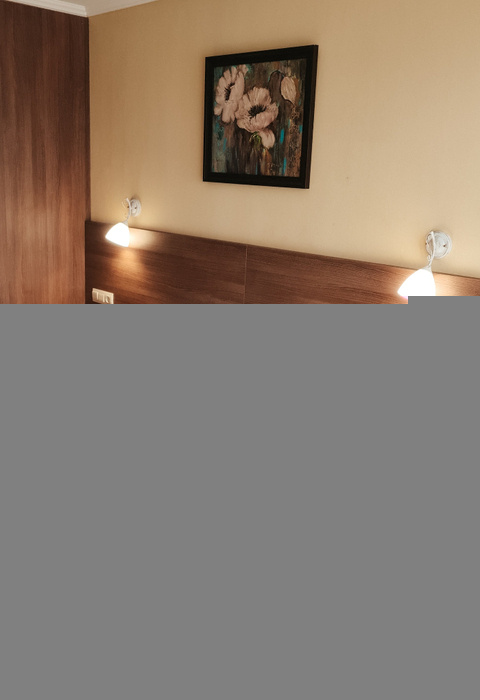 2-мест. комфорт плюс (вид на озеро)