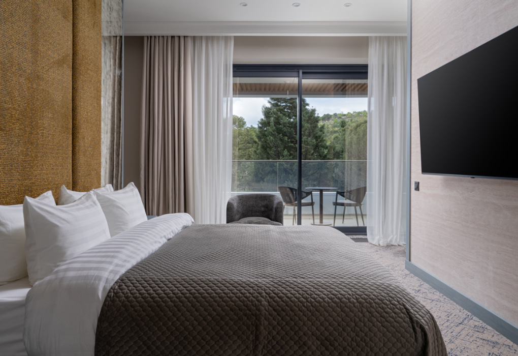 2-мест. делюкс (вид на парк)