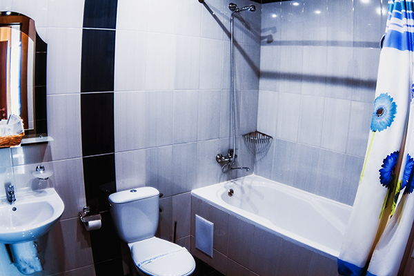 Полулюкс 2-местный