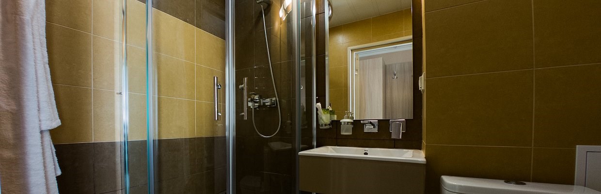 Люкс 2-местный 1-комнатный