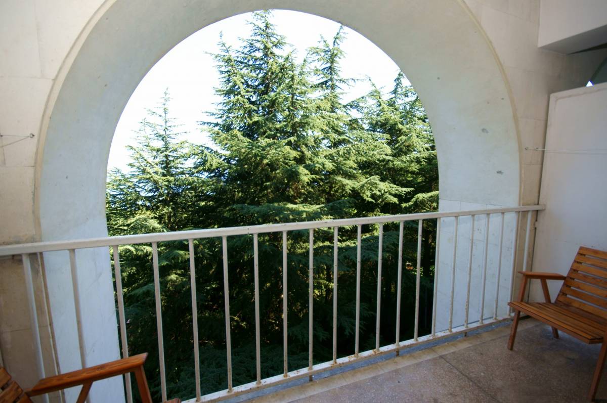 Улучшенный 2-местный 1-комнатный ЮГ корпус 5