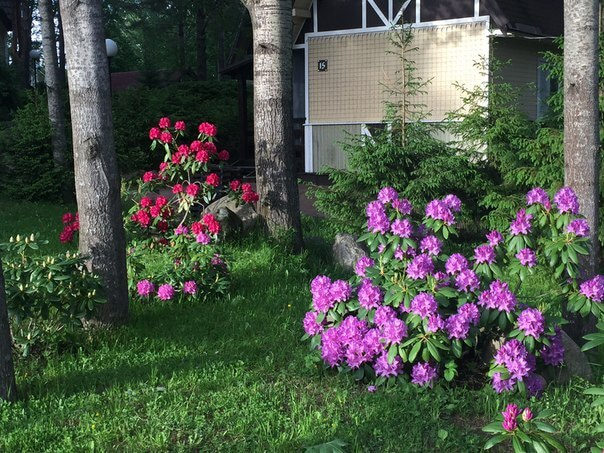 Курорт «Снежный» Коробицыно