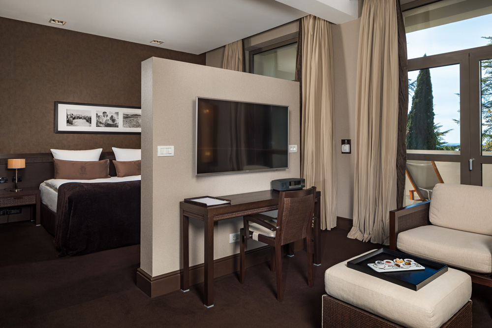 Deluxe 2-местный с видом на парк