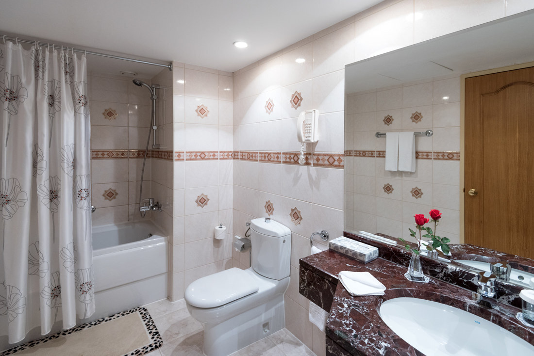 Люкс Стандарт, Бизнес корпус