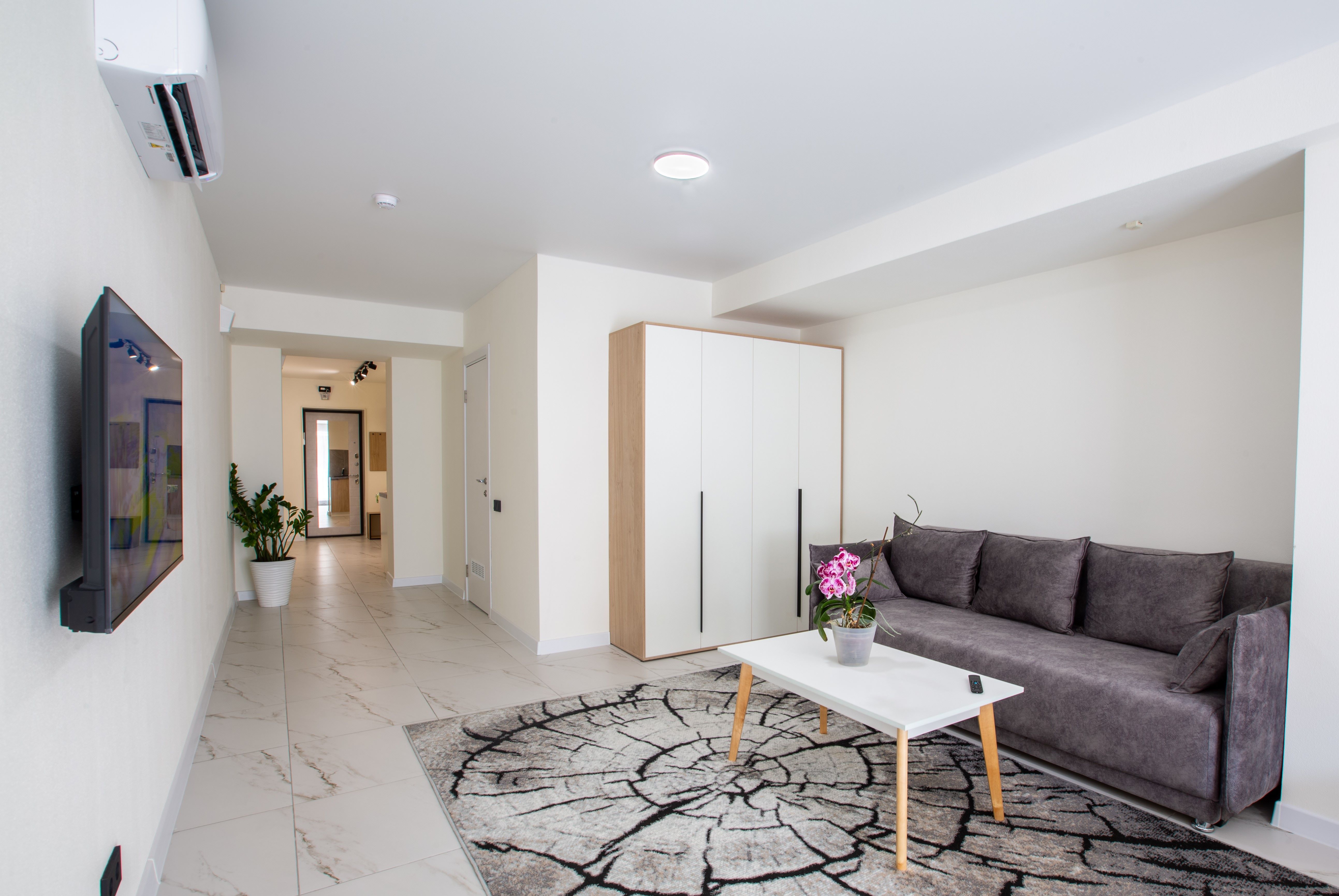 Люкс Студио 4-местный 1-комнатный