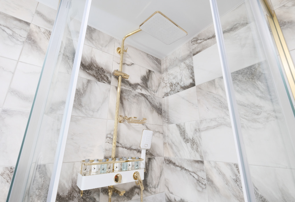 2-мест. премиум люкс