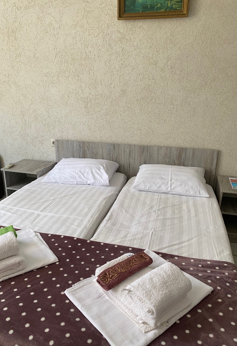 Посмотреть в галерее 2-мест. станд. без балк.