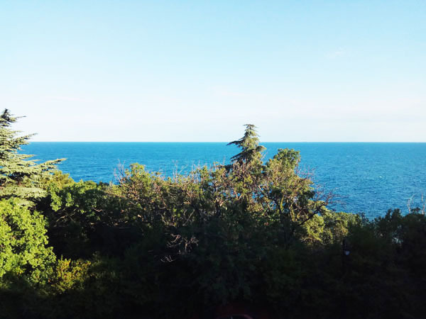 Посмотреть в галерее Стандартный вид на море, Парк