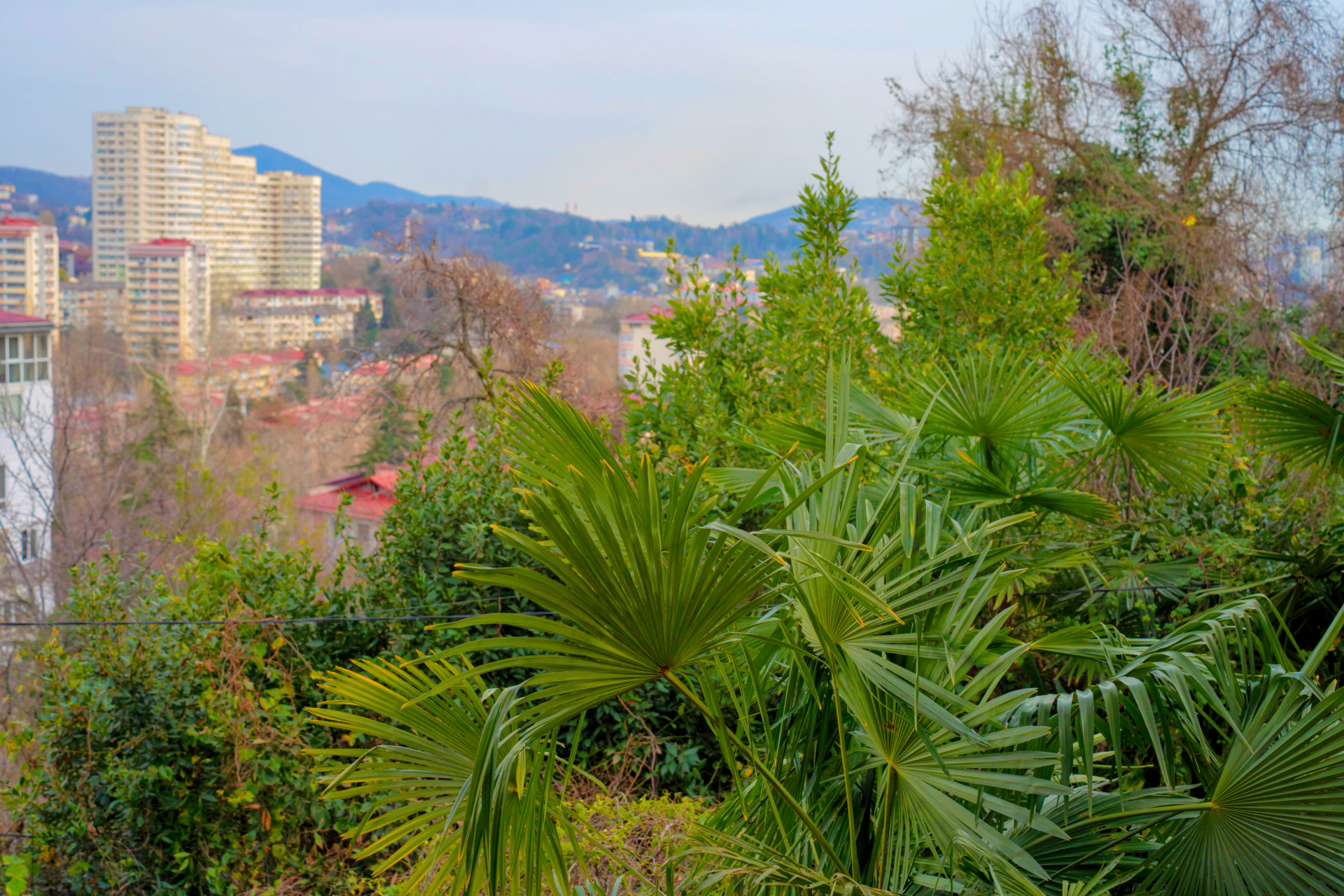 Стандарт 2-местный 1-комнатный