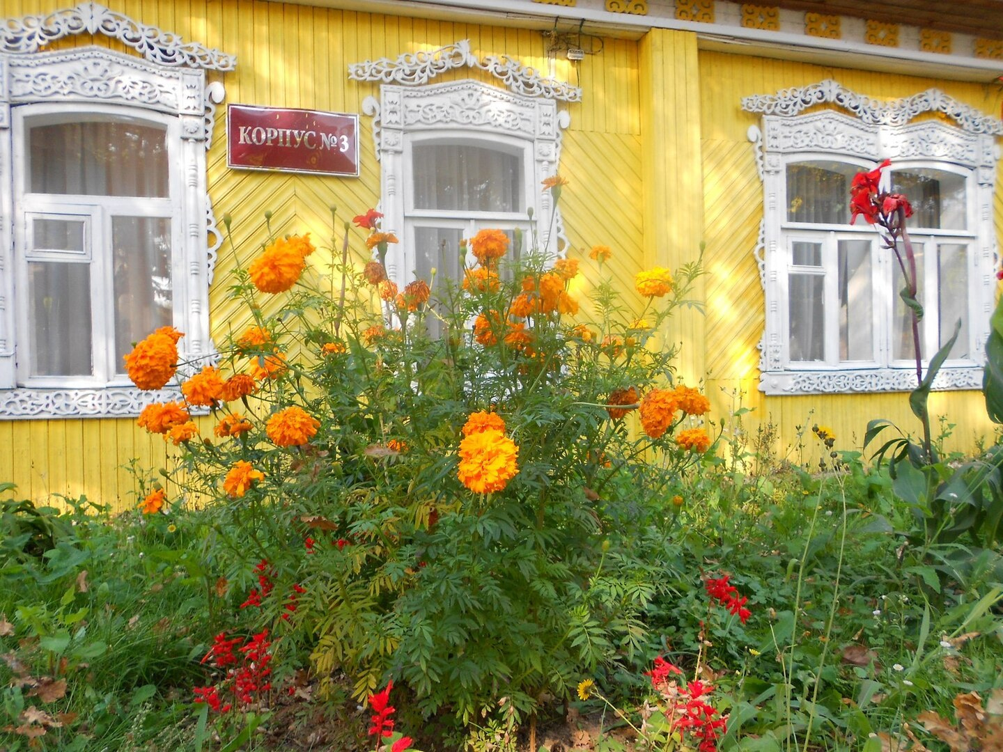 Посмотреть в галерее Стандартный, корпус №2,3,4