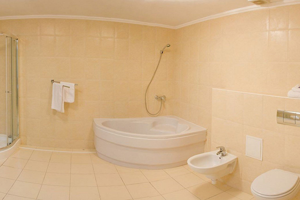 Полулюкс 2-местный