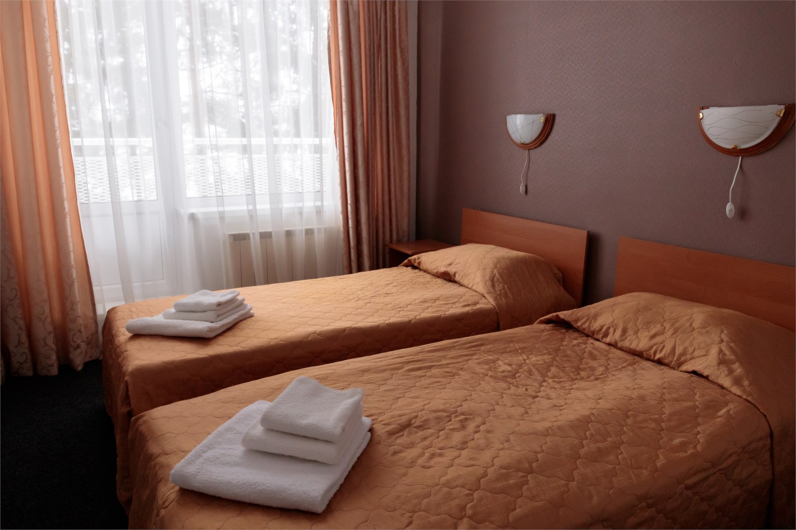 Стандарт 2-местный корпус №1 вид на Волгу