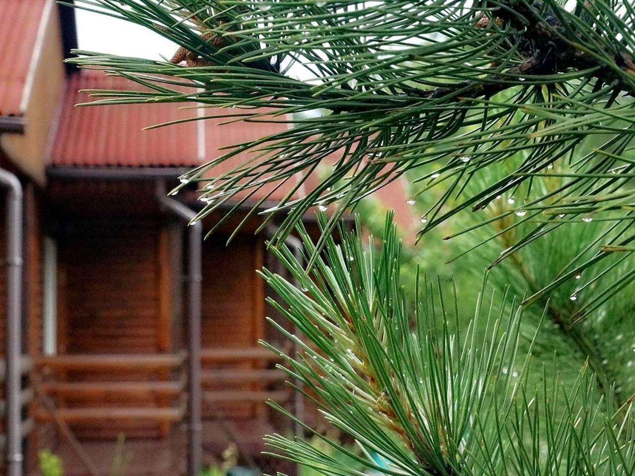 «СОЛНЕЧНАЯ ДОЛИНА»