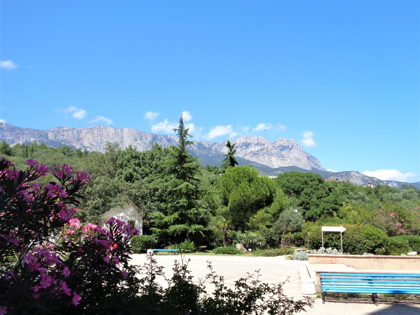 Санаторий «Южнобережный» Крым (Алупка)