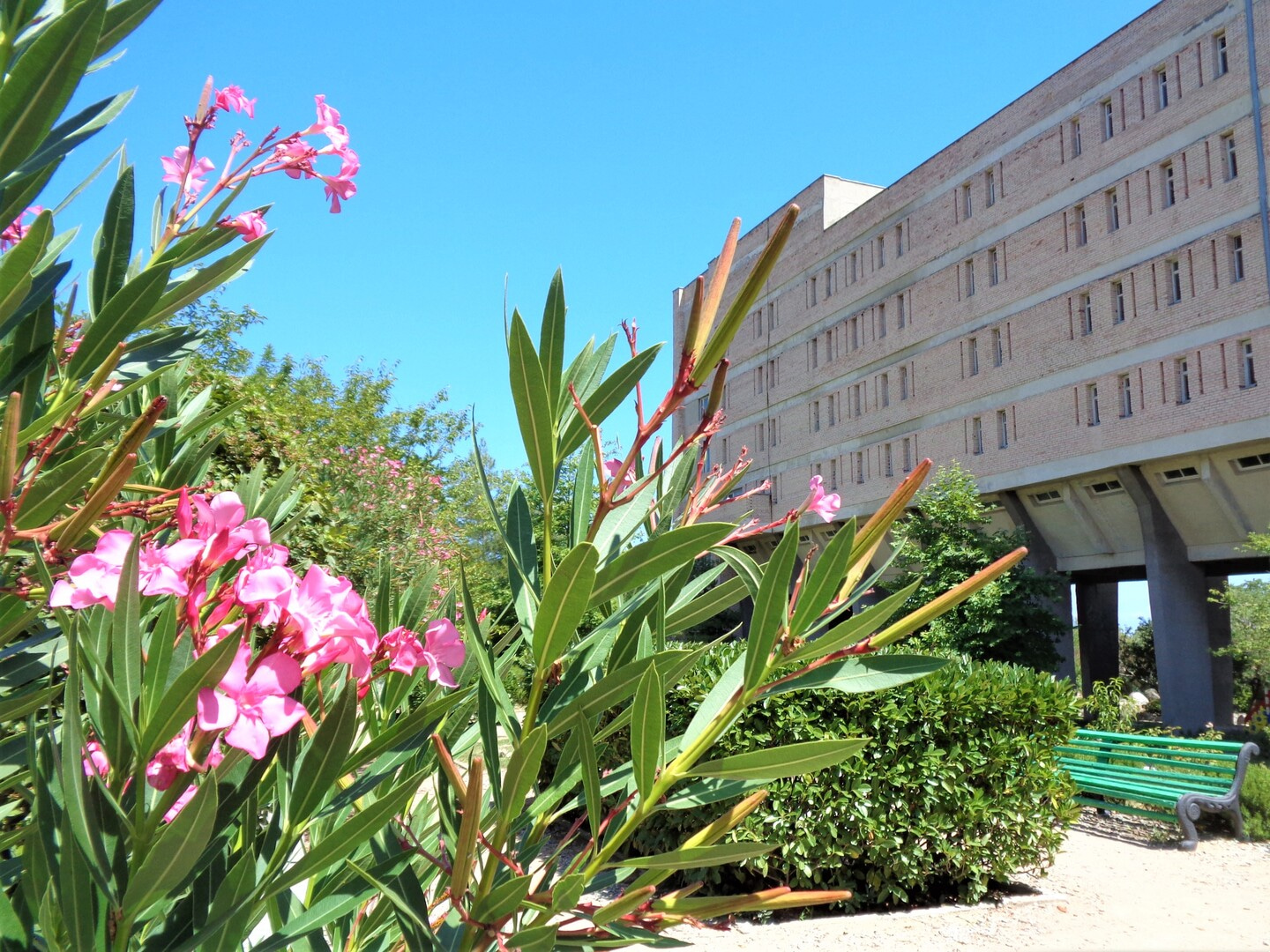 Санаторий «Южнобережный» Крым (Алупка)