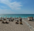 ff19f64b445c4304b75a33d472ee12ab.png ff19f64b445c4304b75a33d472ee12ab.png