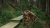 cc378030aeb6a167283e2c5258fd695b.jpg