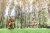 39268a100eef65b2c88cbfb2aabb5c33.jpg